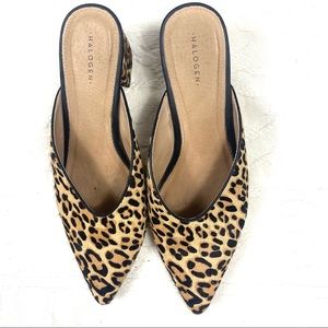 Halogen leopard print mules